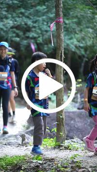 BIB:  <button type="button" onclick="openModal(27921233)" class="btn btn-primary btn-sm float-right" data-toggle="modal" data-target=".modal-high-quality">
                <i class="fa fa-download"></i> Download
                </button>